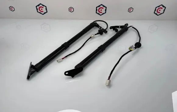 Toyota RAV 4 (XA50) Tailgate strut NULL