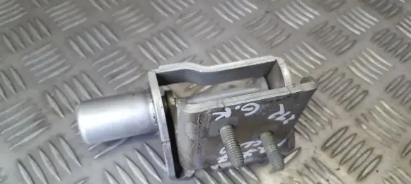 Renault Clio III Rear door lower hinge