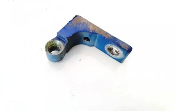 Fiat Punto (188) Rear door lower hinge