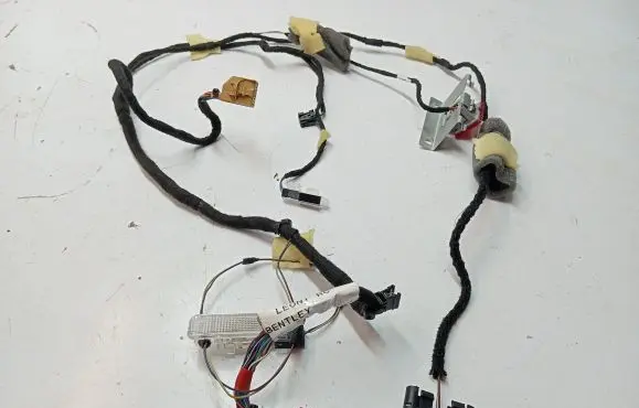Bentley Continental Front door wiring loom GX739600DB 3W0971160G
