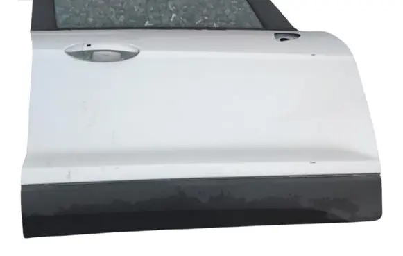 Ford Ecosport Front door 