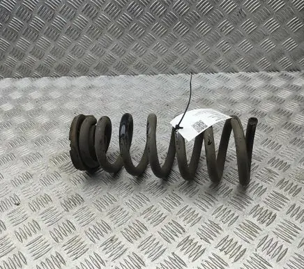 MG MG4 ev Rear coil spring 10980296