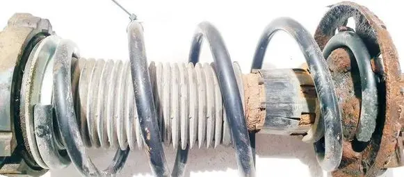 Volkswagen Fox Front coil spring 