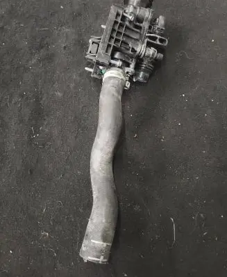Thermostat/thermostat housing