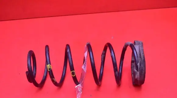 Hyundai i20 (PB PBT) Rear coil spring