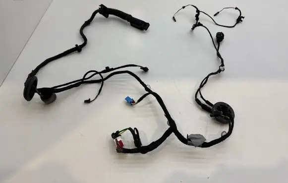 Audi A4 S4 B9 Front door wiring loom 8W0971029BL