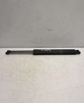 Ford Transit - Tourneo Connect Tailgate/trunk strut/damper DT11V406A10AF