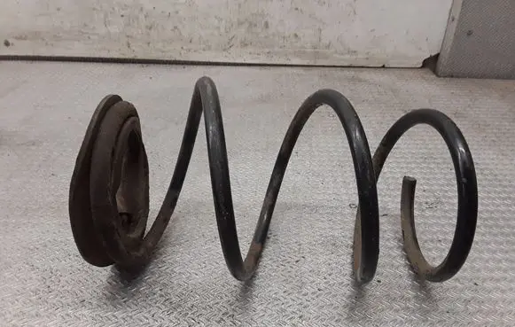 Rear coil spring