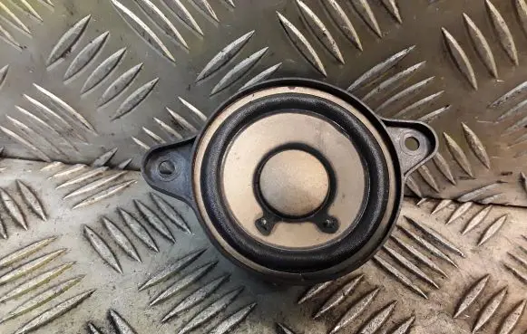 Panel speaker