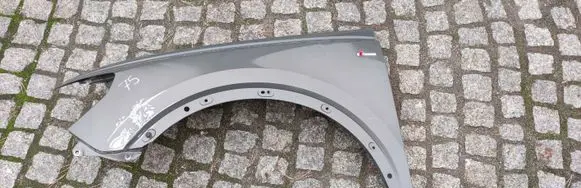 Audi Q3 8U Fender 