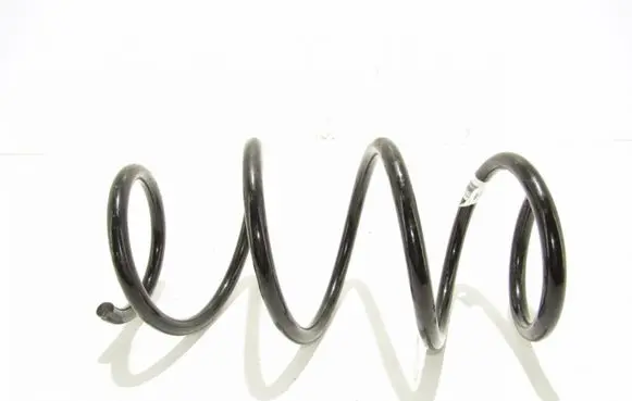 Front coil spring