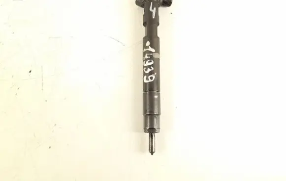 Mercedes-Benz GLK (X204) Fuel injector 6510702887 A6510702887