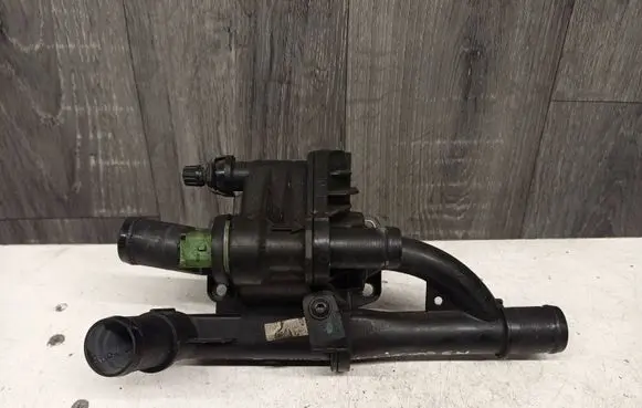 Thermostat/thermostat housing