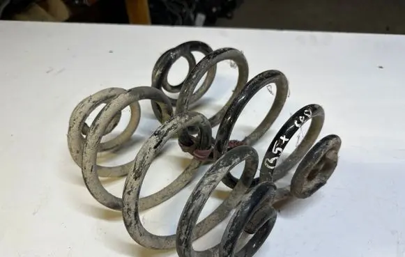 Volkswagen PASSAT B5.5 Rear coil spring