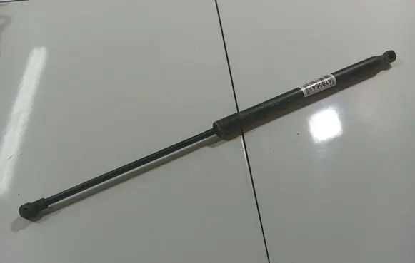 Tailgate/trunk strut/damper