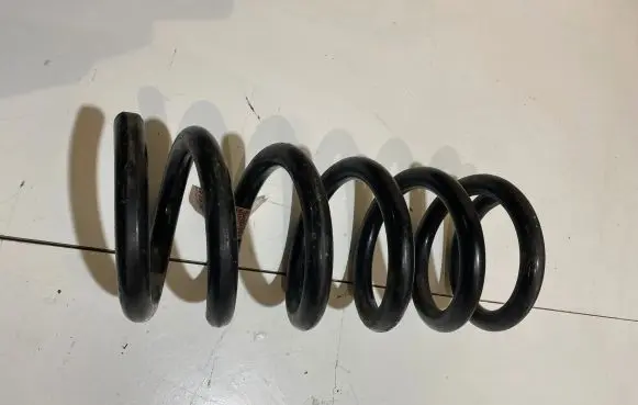 Ford Mustang VI Rear coil spring FR3C5560HC