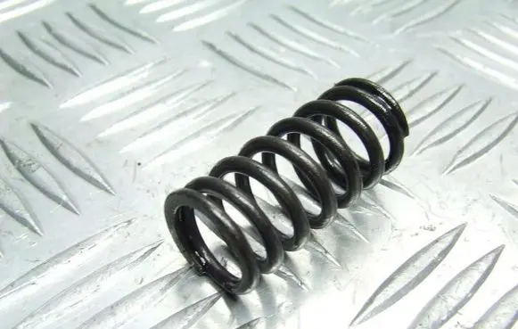 Volvo V70 Valve spring 