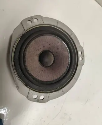 Rear door speaker