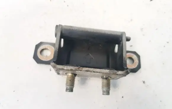 Tailgate/trunk/boot hinge