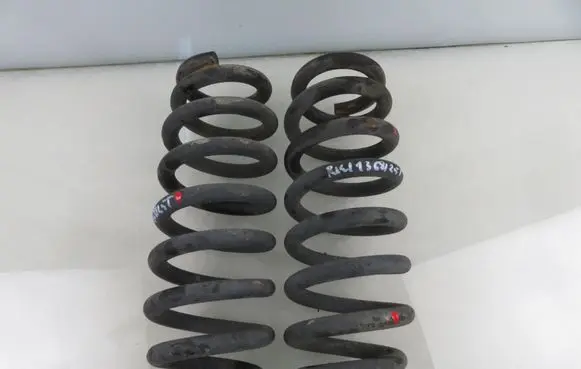 Rear coil spring