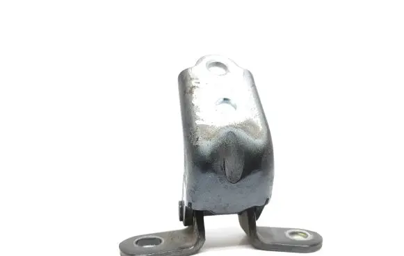 KIA Sportage Rear door lower hinge