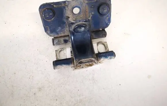 Tailgate/trunk/boot hinge