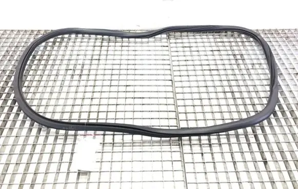 Citroen C4 III e-C4 Rubber seal front door (on door) 