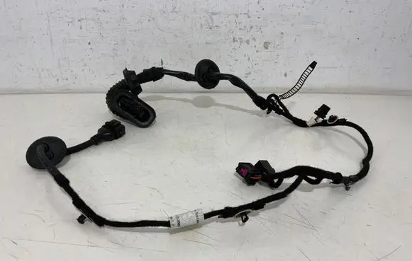 Audi A8 S8 D3 4E Front door wiring loom 4E0971029R