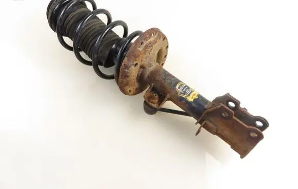 Fiat Punto (199) Front shock absorber with coil spring