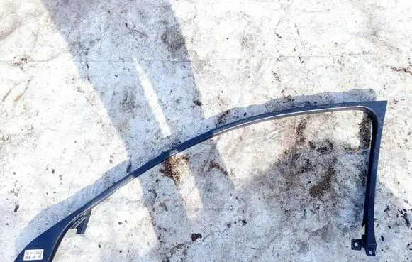 Other front door trim element