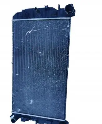 Mercedes-Benz Sprinter W906 Coolant radiator 9065000002