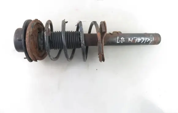 Peugeot 206 Front shock absorber with coil spring