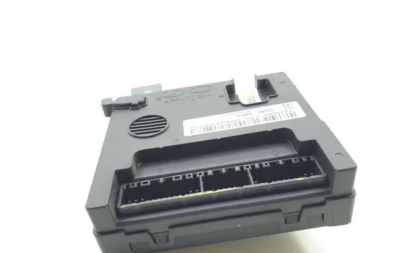 Hyundai Santa Fe Comfort/convenience module 954002B490