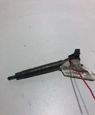 Audi Q7 4L Fuel injector 0445115052
