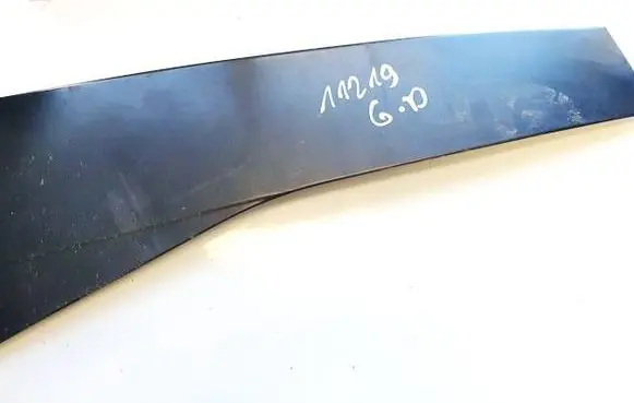 Volkswagen PASSAT B6 Other rear door trim element 