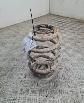 Rear coil spring
