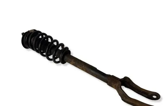 Dodge Durango Front shock absorber with coil spring 68029501AE 55553E 1A14973A