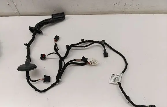 Rear door wiring loom