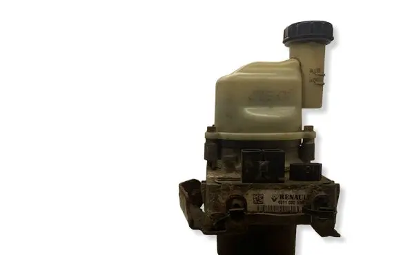Dacia Sandero II Power steering pump 491108089R
