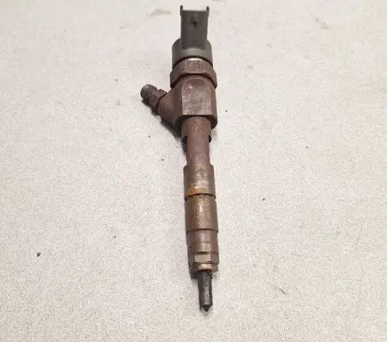 Renault Laguna II Fuel injector 0445110178 8200295279 2177