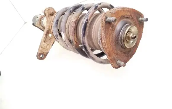 Land Rover Freelander Front shock absorber with coil spring RND000120