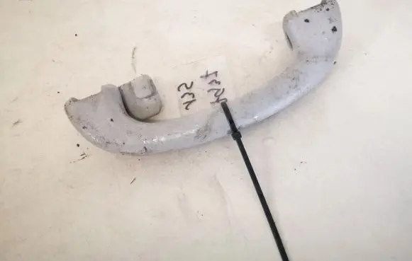 Ford Focus Rear interior roof grab handle