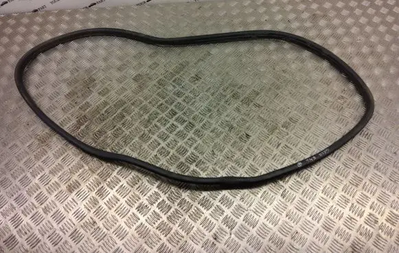 BMW X1 F48 F49 Rear door rubber seal (on body) 7349665