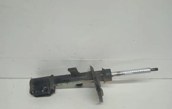 Renault Zoe Front shock absorber/damper 543028406R