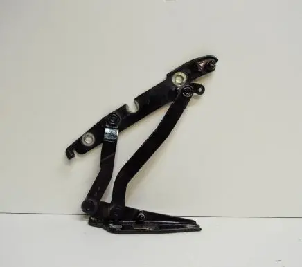 Seat Exeo (3R) Tailgate/trunk/boot hinge 8E5827301G