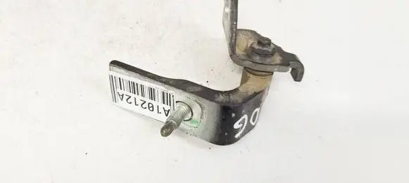 Rear door lower hinge