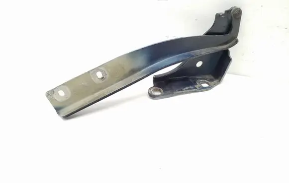 Fiat Punto (199) Engine bonnet/hood hinges