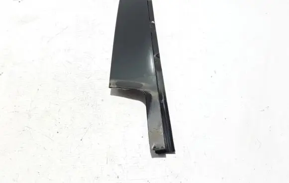Renault Espace V (RFC) Front door glass trim molding 802849269R