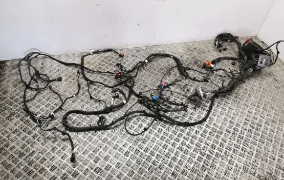 Citroen C4 III e-C4 Engine installation wiring loom 964T086080