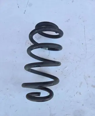 Rear coil spring